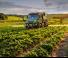 Véhicule Véhicules communaux multi-usages à diesel diesel Unimog U 218 Euro 6