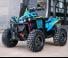 can-am RENEGADE 1000R 