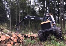 Abatteuse forestière EcoLog EcoLog 590 C