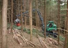 Abatteuse forestière Neuson Forest 103HV