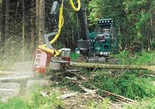 Abatteuse forestière Neuson-Ecotec 9002 HV