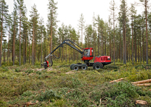 Abatteuse forestière Komatsu 901.4
