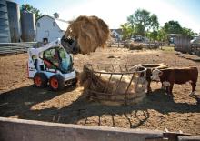 Chargeurs compacts Bobcat S590