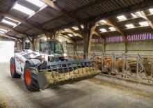 Chariot Élévateur Télescopique Bobcat TL34.65HF AGRI 130 IV