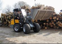 Chargeuses sur pneus Giant V 452 T HD