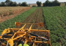 Cultivateurs Agrisem Biomulch 4.00