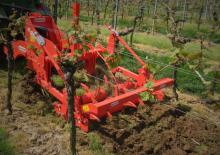 Cultivateurs Maschio Pinocchio 130/3