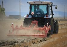 Cultivateurs Maschio Pinocchio 200/5