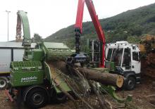 Déchiqueteuses de bois Pezzolato PTH 1400/820