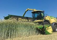 Ensileuses - traction 2 roues Krone BiG X 630