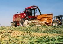 Ensileuses - traction 2 roues Case IH Mammut 8790