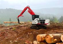 Excavatrice sur chenilles Link-Belt 4640B TL