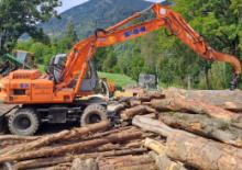 Excavatrice sur pneus Fiat Kobelco EX 95 WM