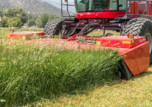 Faucheuses  frontales, disques avec conditionneurs Massey Ferguson 9313 S
