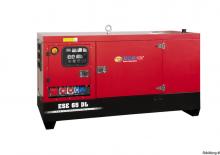 Groupes électrogènes à diesel Endress ESE 95 PW/MS