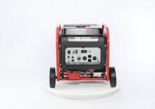 Groupes électrogènes à essence Endress ESE 8000 DBS/S ES