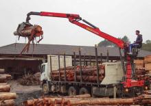 Grues de chargement à bois Epsilon C 80 L 77