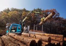 Grues de chargement à bois Loglift F 61 FT 85