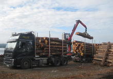 Grues de chargement à bois Epsilon M 110 L 80
