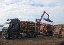 Grues de chargement à bois Epsilon M 110 Z 77