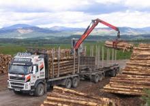 Grues de chargement à bois Epsilon Q 150 L 83