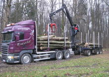 Grues de chargement à bois Epsilon Q 150 Z 96