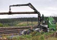 Grues de chargement à bois Epsilon S 290 L 82 HPLS