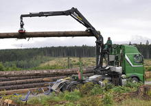 Grues de chargement à bois Epsilon S 290 Z 96 HPLS