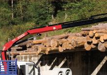 Grues de chargement hydrauliques Fassi F 120 B 1.21 e-dynamic