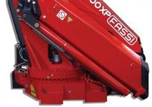 Grues de chargement hydrauliques Fassi F 800 BXP 26