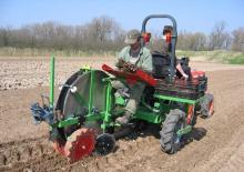 Machines à planter Basrijs Discplanter with conveyer belt