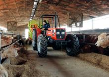 Mélangeurs alimentaire Storti Husky DS 160