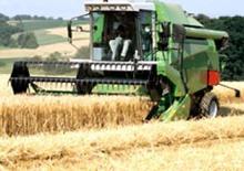 Moissonneuse-batteuses DEUTZ-FAHR 5445 H