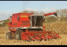 Moissonneuse-batteuses Massey Ferguson 8560 Rotary