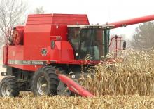 Moissonneuse-batteuses Massey Ferguson 8780 Rotary