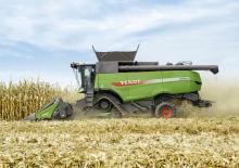 Moissonneuse-batteuses à barres de coupe maïs Fendt CornFlow 8Reihen 75cm