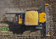 Moissonneuse-batteuses à barres de coupe maïs Valtra PM514