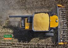 Moissonneuse-batteuses à barres de coupe maïs Valtra PM515
