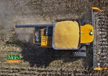 Moissonneuse-batteuses à barres de coupe maïs Valtra PM517