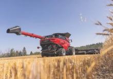 Moissonneuse-batteuses Case IH AF11