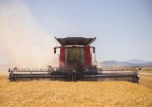 Moissonneuse-batteuses Case IH Axial Flow 6160 