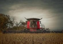 Moissonneuse-batteuses Case IH Axial Flow 7260