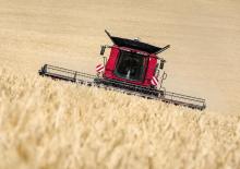 Moissonneuse-batteuses Case IH Axial Flow 8250
