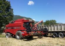 Moissonneuse-batteuses Case IH CT 5060