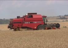 Moissonneuse-batteuses Case IH CT 5080 A1