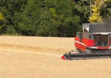 Moissonneuse-batteuses Massey Ferguson Delta 9280 AL