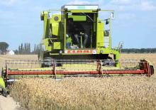Moissonneuse-batteuses Claas Dominator 105