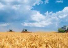 Moissonneuse-batteuses Claas Lexion 600