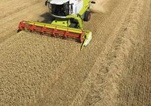 Moissonneuse-batteuses Claas Lexion 650