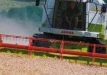Moissonneuse-batteuses Claas Medion 310